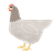Våra vision